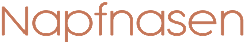 Napfnasen